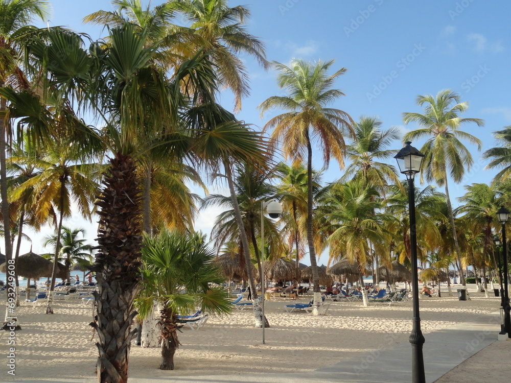 Playa Paraiso Caribe