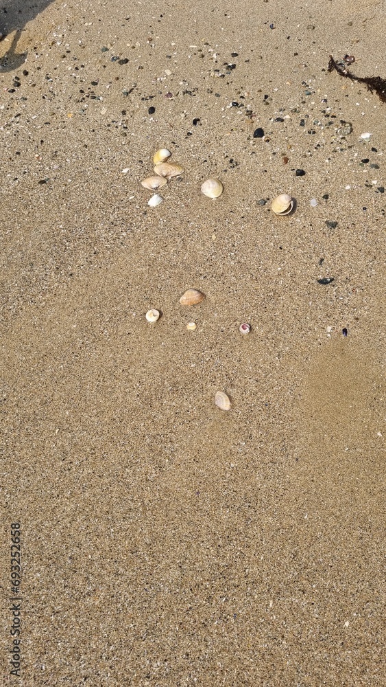 Beach Beach