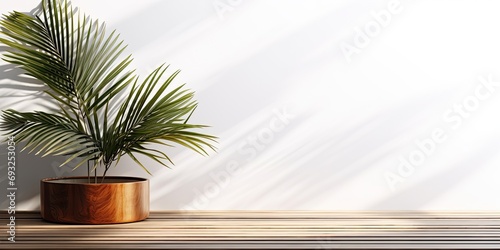 Teak wood table with palm leaves shadow on white wall. Backdrop  Products display  Beautiful wood grain  Summer  Natural.