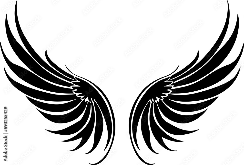 Obraz premium beautiful angel wings