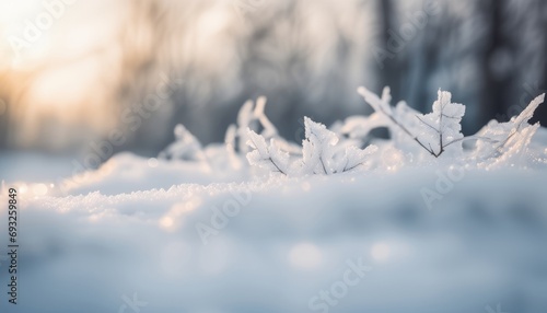 A snowy landscape with frost covered branches