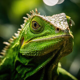  green jungle of an expressive lizard