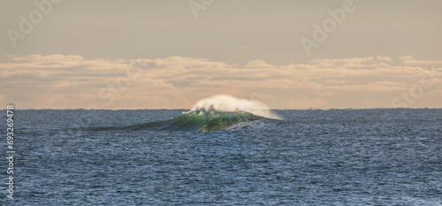 Vászonkép rogue wave