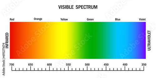 Visible light spectrum. Gradient diagram with wavelength and colors. Infrared and ultraviolet. Electromagnetic visible color spectrum for human eye. Vector illustration. EPS 10. photo