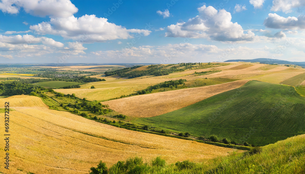 golden wheat fields under azure skies, a vibrant summer scene teeming with natural beauty