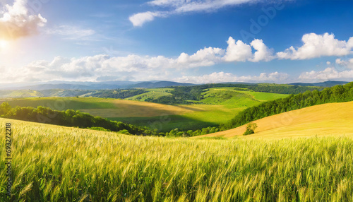 golden wheat fields under azure skies  a vibrant summer scene teeming with natural beauty