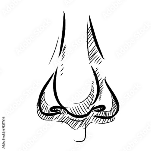 human nose handdrawn illustration
