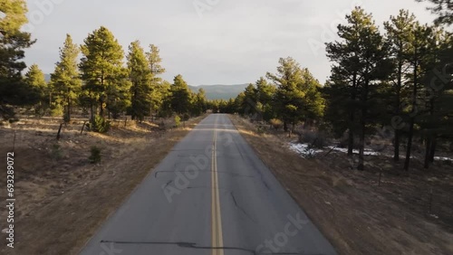 Drone down the middle of a empty road in the Rocky Mountains in Colorado with pine trees on both sides photo