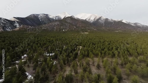 Establishing drone shot approaching Mount Princeton in the Rocky Mountains in Colorado over pine trees photo