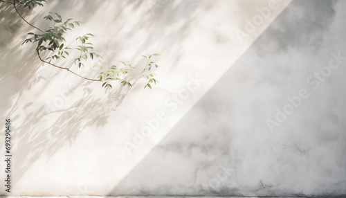白い壁と植物の影。AI生成画像