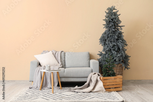 Comfortable sofa and Christ...