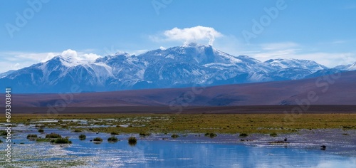 Vado Putana con vista al volcán lascar, San Pedro de Atacama Chile. photo