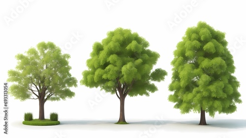 green tree collections white background