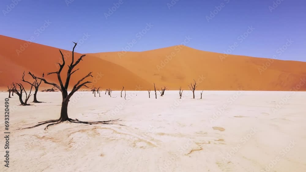 4K Drone Flying Through Dead Camel Thorn Trees in Deadvlei, near Sossusvlei, Namib-Naukluft Park, Namibia. Explore the World's Tallest Sand Dunes – Big Daddy and Crazy Dune. Surreal Desert Landscape 4K Drone Flying Through Dead Camel Thorn Trees in Deadvlei, near Sossusvlei, Namib-Naukluft Park, Namibia. Explore the World's Tallest Sand Dunes – Big Daddy and Crazy Dune. Surreal Desert Landscape
