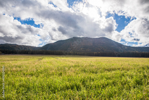 Vibrant Autumn Hay Field