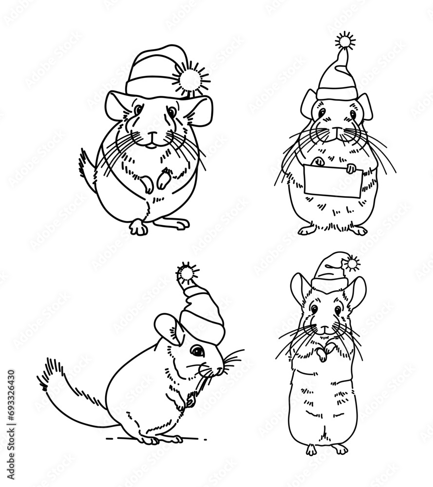 Vector contour drawing of Christmas chinchilla in a hat Vector contour drawing of Christmas chinchilla in a hat
