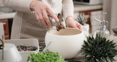 Woman adding expanded clay drainage into ceramic pot for Aloe Aristata house plant transplanting