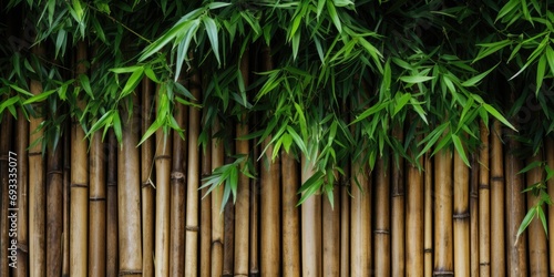 Tropical bamboo wall with wood texture, close-up. Flat lay, top view, copy space.