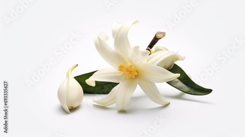 vanilla flower for food catalog Ai Generative