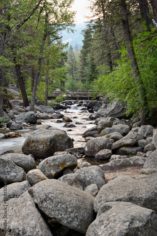 A footbridge across the creek at the Woodbine Campground in the Custer Gallatin National Forest in Montana, USA A footbridge across the creek at the Woodbine Campground in the Custer Gallatin National Forest in Montana, USA