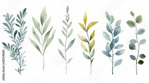 Set of watercolor eucalyptus branches. illustration. Generative AI