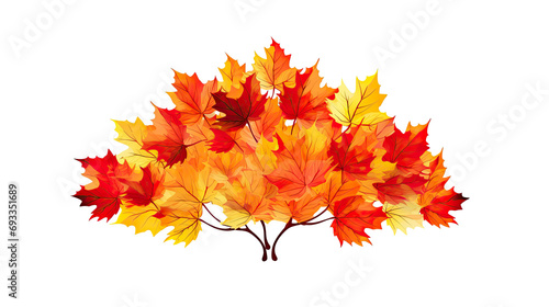 Large Bundle of Red and Yellow Maple Leaves Isolated on Transparent Background