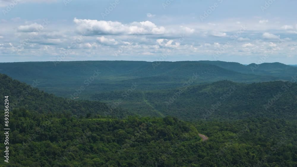 Impressive representation of the beauty and vastness of the forest. Impressive representation of the beauty and vastness of the forest.