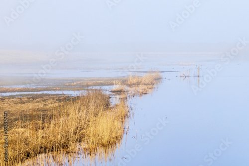 Floodland by a river a mist spring morning
