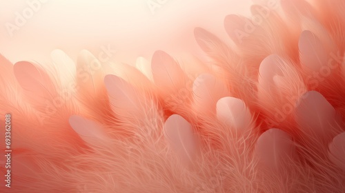 Feather background, peach fuzz, orange and pink shades 