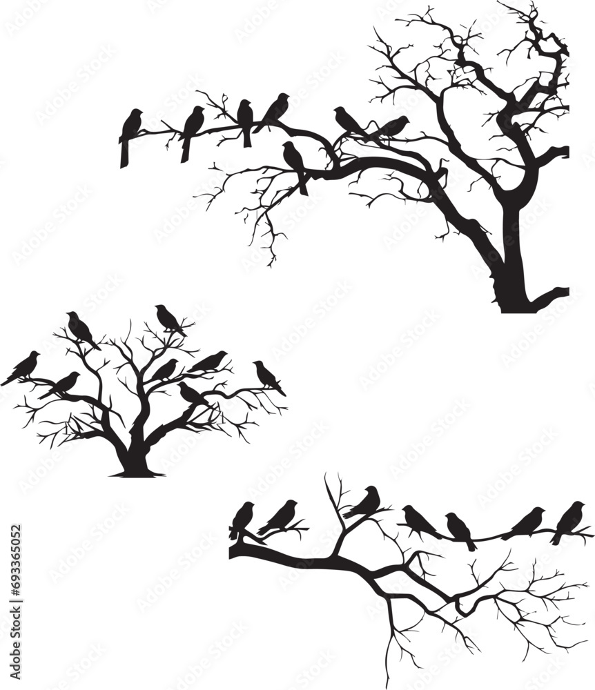 Naklejka premium Black silhouette of birds on the tree sitting on white background