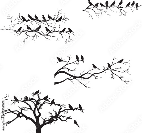 Black silhouette of birds on the tree sitting on white background