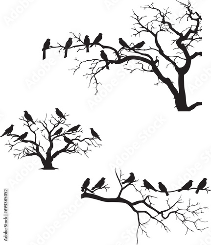 Black silhouette of birds on the tree sitting on white background
