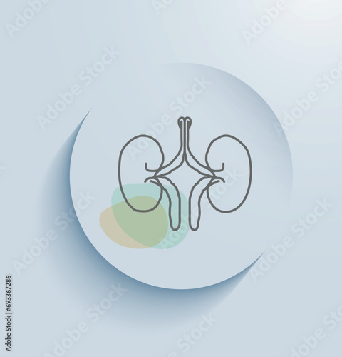 Nephrology is the branch of medicine that focuses on the study and treatment of kidney diseases