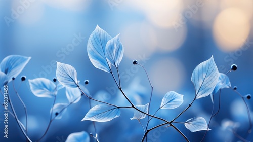 Bokeh On Background Blurred Natural Blue, Wallpaper Pictures, Background Hd