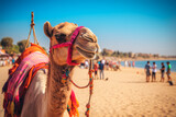 Camel on a leash for tourists in egypt generative AI