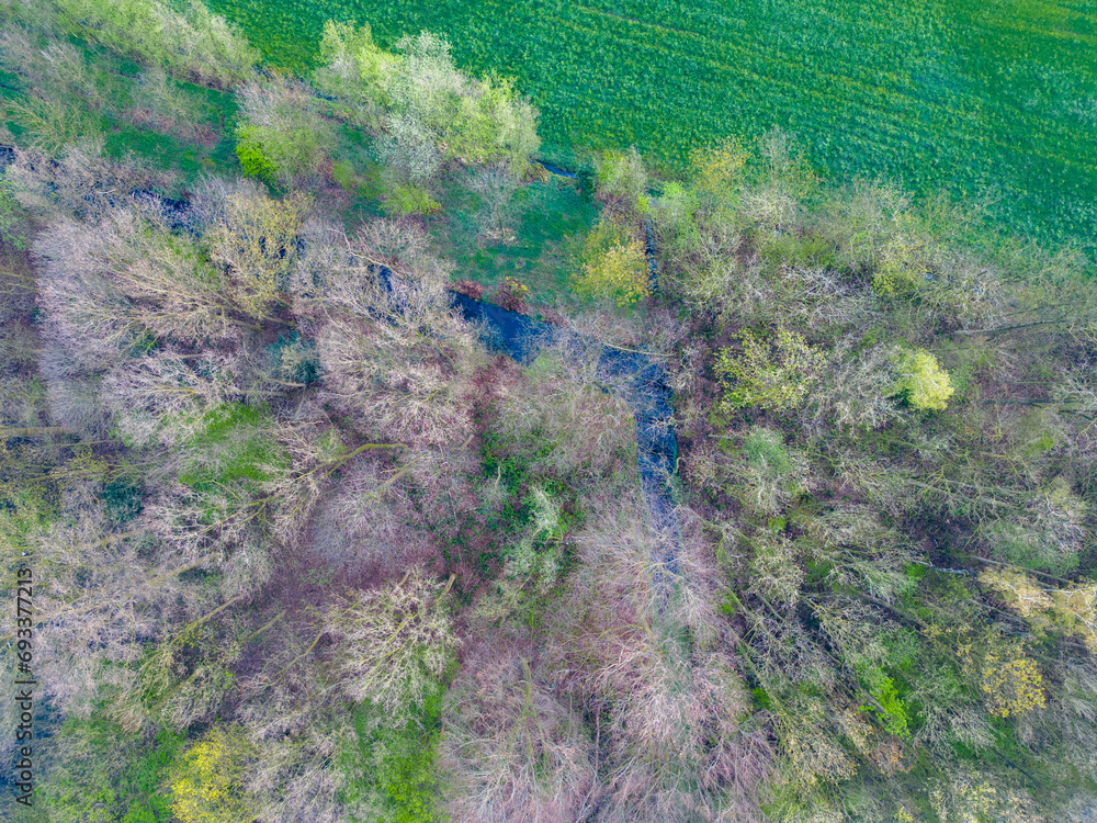 This aerial snapshot reveals the early signs of spring in a mixed landscape, where a patchwork of woodland and vibrant green fields intertwine. A small water body nestled within the trees serves as a