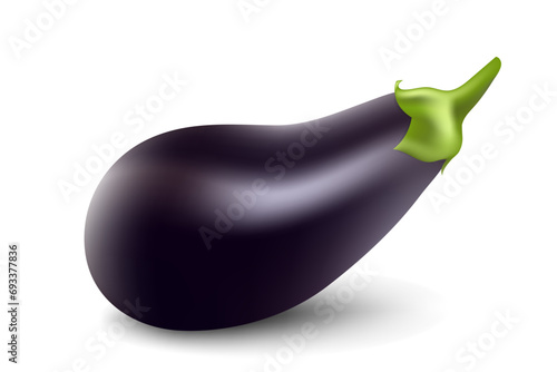 Eggplant isolated on white background close-up. Fresh eggplant from garden vector illustration.