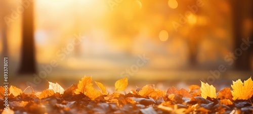 Autumn leaves against a blurry park in sunlight with beautiful bokeh. Natural background.