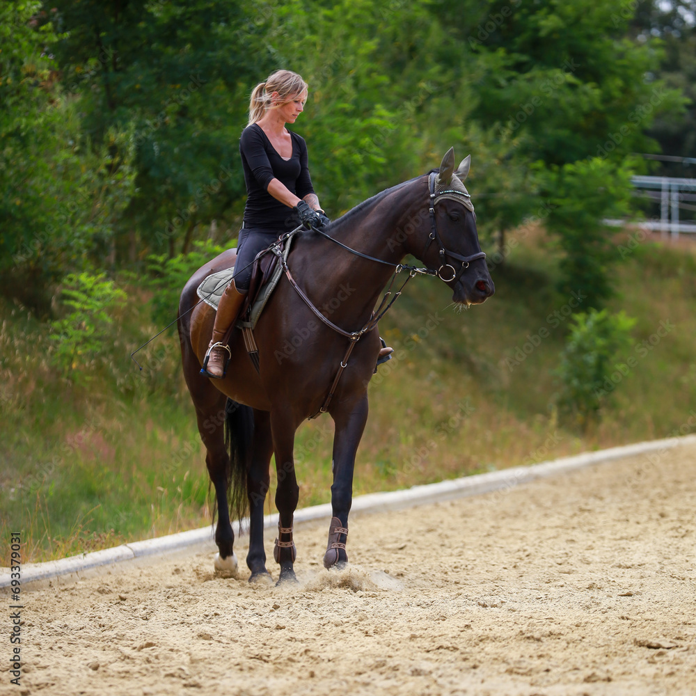 Young woman on black horse in the riding arena, initiating short turns. Young woman on black horse in the riding arena, initiating short turns.