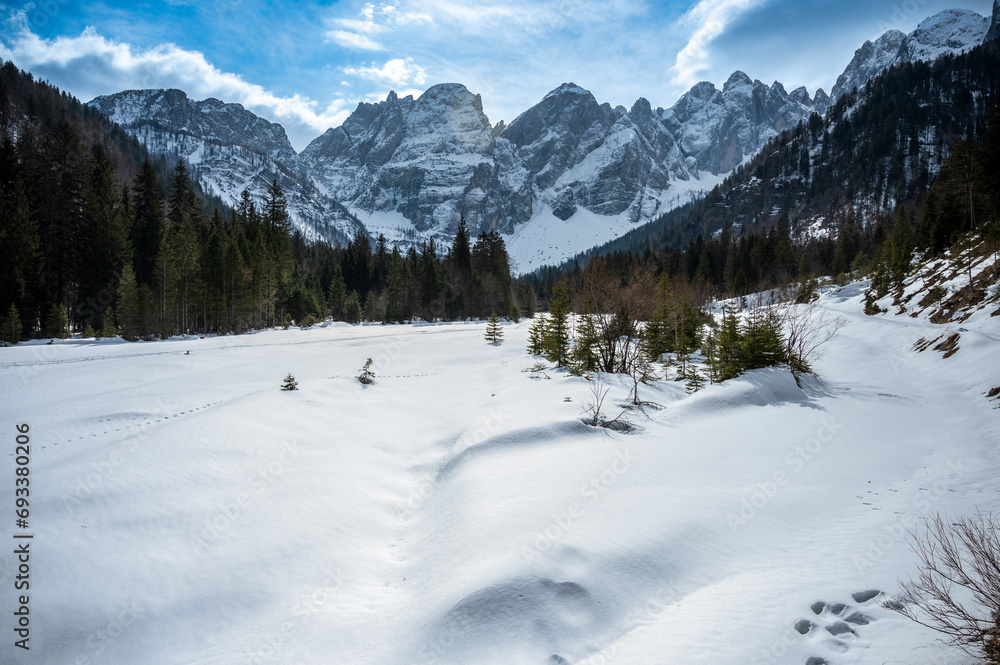 Tarvisio. Riofreddo valley in winter. At the foot of the Julian Alps