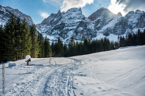 Tarvisio. Riofreddo valley in winter. At the foot of the Julian Alps photo