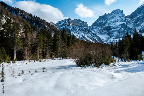 Tarvisio. Riofreddo valley in winter. At the foot of the Julian Alps photo