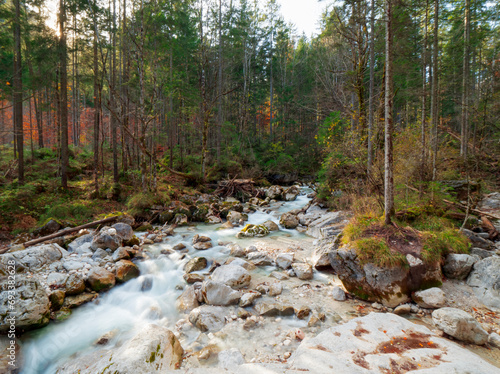 Berchtesgaden Zauberwald wild creek water flow with surrounding autumn forest scene