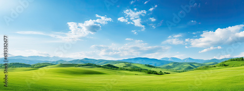 landscape with grass and blue sky