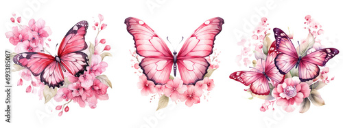 Valentine Watercolor Floral Butterfly
