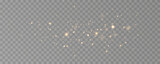 Golden sequins glow with many lights. Glittering dust. Luxurious background of golden particles.