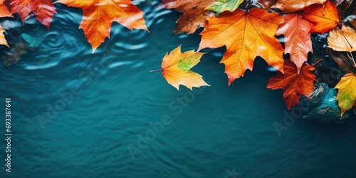 Colorful autumn leaves on the water surface. Fall season concept. copy space