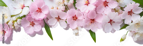 Bouquet of sakura  transparent background  png with alpha channel. Spring image. Valentine s Day  Easter  Birthday  Happy Women s Day  Mother s Day  Birthday  Celebration  etc.