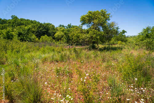 The Landscape of Washita Battlefield National Historic Site photo