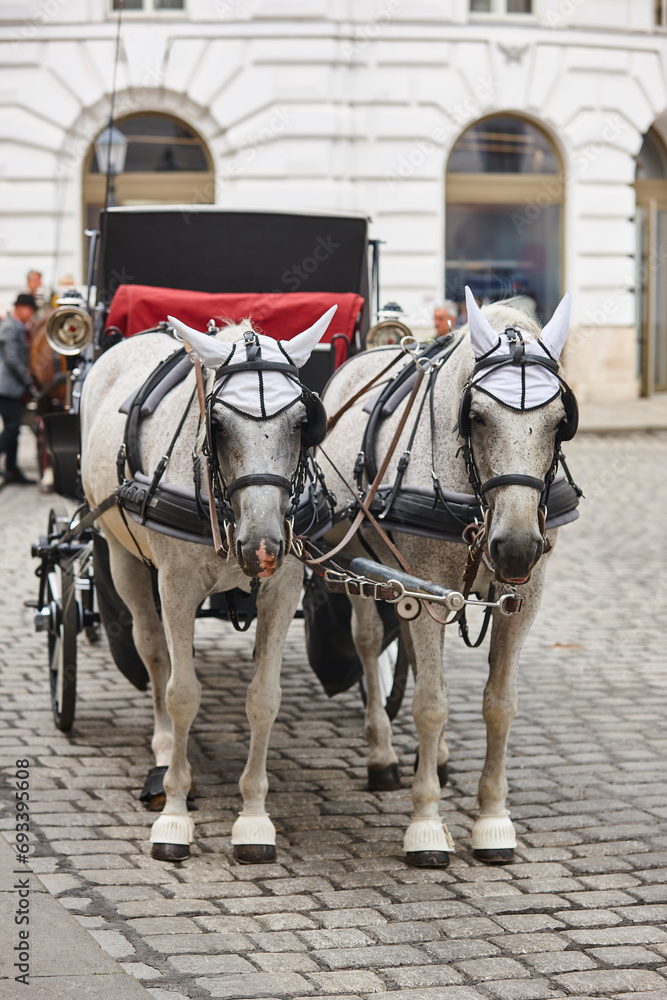 Traditional carriage ride. Vienna city center. Classic horse driven. Austria Traditional carriage ride. Vienna city center. Classic horse driven. Austria